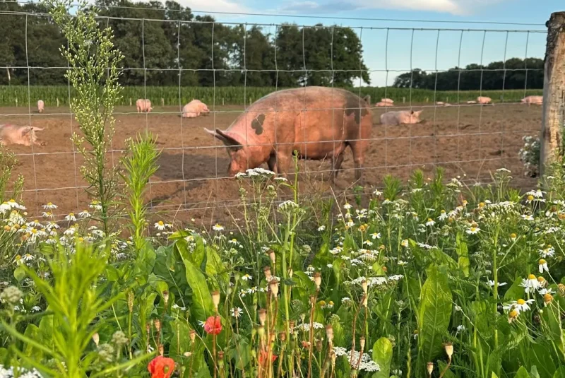 20231118 Exterkate Zeugen wei YBT